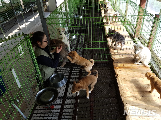 【서울=뉴시스】한 유기동물보호센터 모습. (사진=뉴시스 DB)