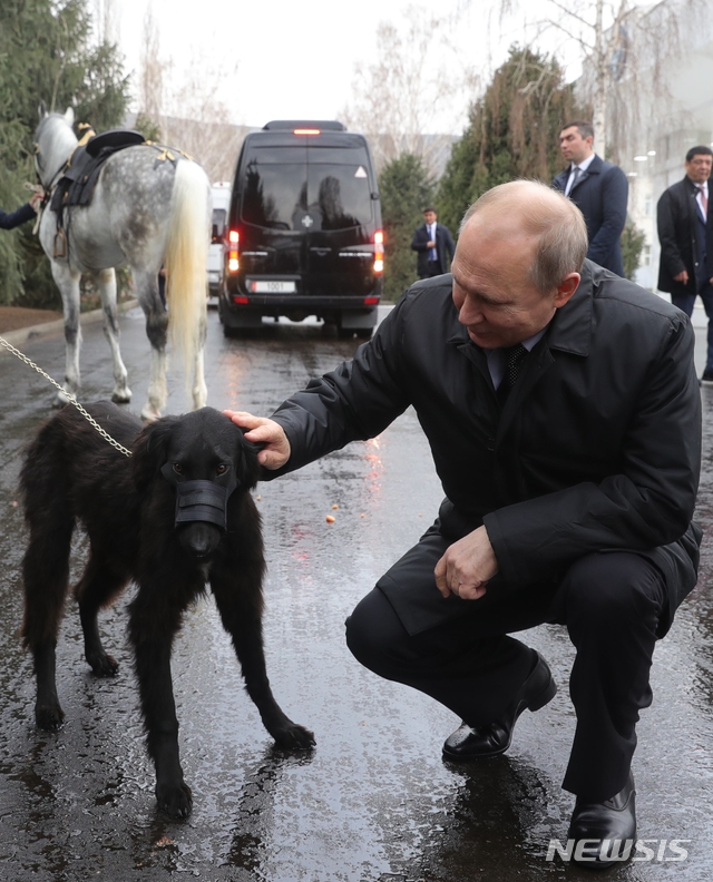 [비슈케크=AP/뉴시스] 지난해 3월 블라디미크 푸틴 러시아 대통령이 키르기스스탄 대통령에 선물받은 개를 쓰다듬고 있다. 동물 애호가로 알려진 푸틴 대통령은 이번 개헌안에 동물에 대한 "책임 있는 태도"를 보여야 한다는 내용을 담았다. 2020.7.1.