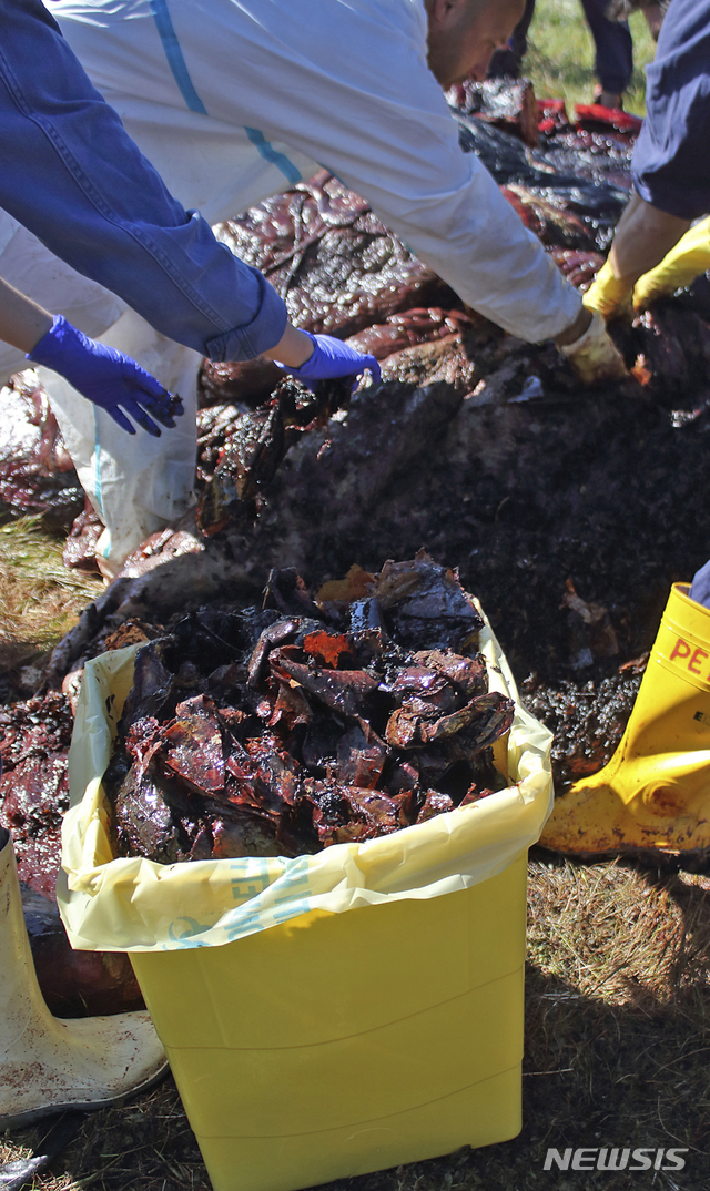 【포르투세르보=AP/뉴시스】지난달 30일(현지시간) 이탈리아 휴양지 사르디니아 섬 포르투 세르보에서 향유고래 사체가 발견된 가운데 환경단체 회원들이 죽은 고래 배 속에서 각종 플라스틱 폐기물을 꺼내고 있다. 국제 야생생물재단은 8m 길이의 임신한 향유고래 사체에서 22kg에 달하는 플라스틱을 수거했으며 플라스틱 봉투와 접시, 전기작업용 주름관, 그물, 브랜드와 바코드가 남아 있는 세제 포장 등이 포함돼 있다고 밝혔다.세르조 코스타 이탈리아 환경 장관은 SNS를 통해 "일회용 플라스틱과의 전쟁을 시작했고 우리는 멈추지 않을 것"이라고 밝혔다. 2019.04.01.