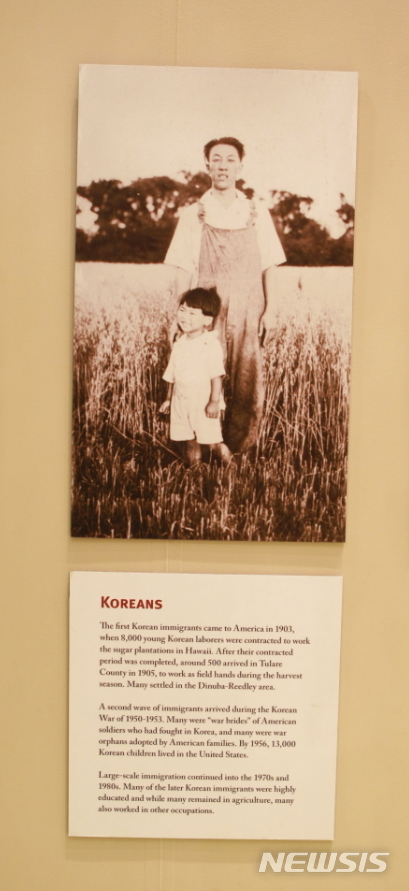 【서울=뉴시스】 김태겸 기자 = 지난 2월 상해 임시정부 100주년 취재차 갔던 미 서부 중가주 다뉴바시에서 만난 한인역사연구회 차만자 박사(캘리포니아 주립대 정치학과 명예교수)가 한인 이주노동자들의 기록물이 전시돼 있는 투라레카운티 박물관(Tulare County Museum)을 안내하고 있다. 1903년 구한말 갤릭호에 올라 하와이를 거쳐 미국 본토로 온 한인 이주 노동자들은 노예처럼 일해서 번 일당 5센트 가운데 상당액을 독립운동자금으로 기꺼이 내놓아 상해임시정부 재정에 크게 기여했지만 고국에 돌아오지 못하고 이역만리에서 제대로된 묘비명도 없이 쓸쓸하게 최후를 맞이했다.1903~1905년 사이 고종은 수민원(綏民院. immigration office)이라는 이민귀화국을 신설하고 한인 노동자 약 7200여명을 미국 하와이 사탕수수 농장으로 집단 이주 시켰다. 이 중 약 2000여명은 노동기간을 마치고 미국 본토인 샌프란시스코로 향한다. 그 중 일부는 탄광이나 은광으로 일부는 미 서부 중가주 리들리 다뉴바 과일 농장으로 향한다. 이들이 바로 상해 임시정부의 수립 자금의 60%를 낸 500여명의 민초 독립운동가들이다. 2019.04.10. patk21@newsis.com