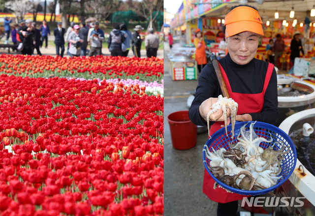 【태안=뉴시스】 태안 세계튤립 꽃 축제...몽산포항 주꾸미·수산물 축제. (사진=태안군청 제공) 