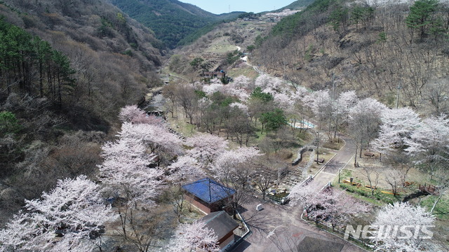 【의령=뉴시스】의령 궁류 벽계야영장 20일 개장. 2019.04.17. (사진=의령군 제공) photo@newsis.com