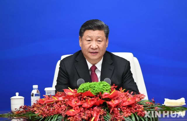 시진핑 "중국, 개방 더 확대할 것"…다국적기업 다독이기 