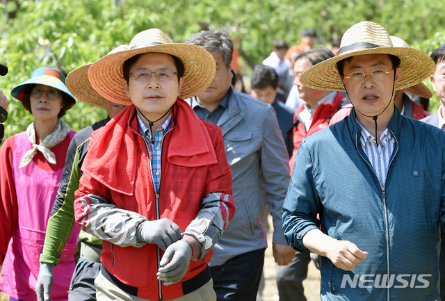 【영천=뉴시스】우종록 기자 = 황교안(왼쪽) 자유한국당 대표가 10일 오전 경북 영천시 대창면 구지리 마을회관 앞 한 과수농가(복숭아)에서 적과작업 일손을 돕기 위해 이동하고 있다. 2019.05.10. wjr@newsis.com