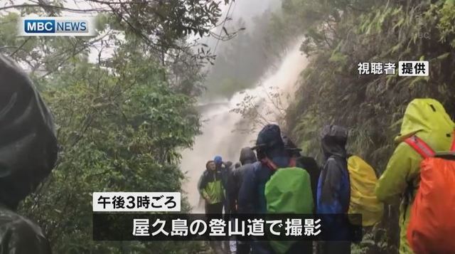【서울=뉴시스】 일본 가고시마(鹿兒島)현 야쿠시마(屋久島) 섬에 50년 만의 폭우가 내리며 한때 273여명이 산에 고립되는 사태가 벌어졌다. 일본 기상청은 19일도 간헐적인 폭우가 계속될 것으로 보인다며 주민들의 경계를 당부했다. (사진=일본 MBC 뉴스 캡처) 2019.05.19.