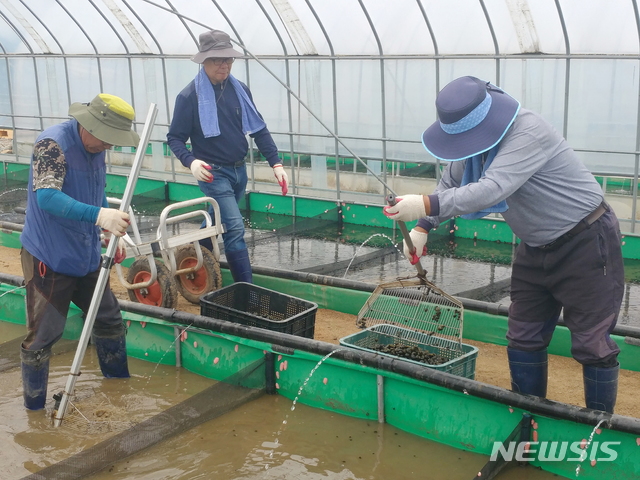 [괴산소식] 친환경 농가에 우렁이 8.8ｔ공급 등