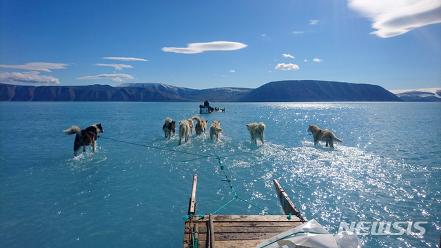 【그린란드=덴마크기상연구소·AP/뉴시스】 북극과 가까운 그린란드에서 13일(현지시간) 두꺼운 얼음층의 윗부분이 녹으면서, 썰매개들이 발목 깊이의 물 속을 지나고 있다. 이 사진은 덴마크기상연구소의 스테펜 올센 연구원이 그린란드 북쪽에 설치해놓은 장비를 수거하러 가던 중 찍은 것이다. 18일 CNN과 가디언은 개들이 마치 물 위를 달리는 듯한 착시를 일으키는 이 사진이 SNS 상에서 큰 화제를 일으키고 있다고 전했다. 2019. 06.18 
