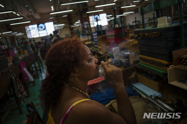 [아바나(쿠바)= AP/뉴시스] 쿠바의 수도 아바나에 있는 라코로나 시가 공장에서 지난 해 여름에 한 여공이 휴식시간에 시가를 피우고 있다.  