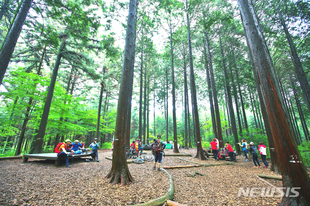 인천대공원 '치유의 숲' 2021년까지 4배 확장 