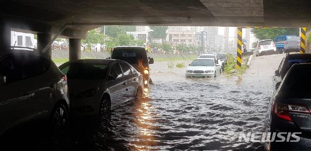 【대전=뉴시스】함형서 기자 =15일 오후 2시께 대전 동구 지역에 폭우가 내리면서 대동천이 불어났다.이 폭우로 인해 대동천이 범람해 소제교, 철갑교 등 하상 주차장에 주차된 차량 65대가 침수됐다. 2019.07.15(사진=대전동구청 제공)photo@newsis.com