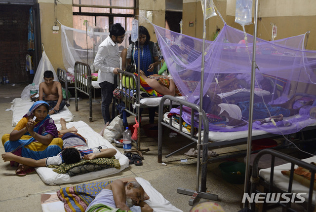 7월31일 방글라데시 수도 다카의 한 대학병원에서 뎅기열 환자들이 치료 받고 있다  AP