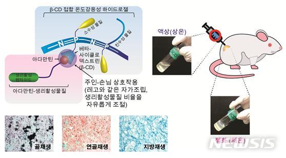 【서울=뉴시스】온도감응성 하이드로젤 및 생리활성물질 조절을 통한 맞춤형 조직재생. (사진/KIST 제공) photo@newsis.com