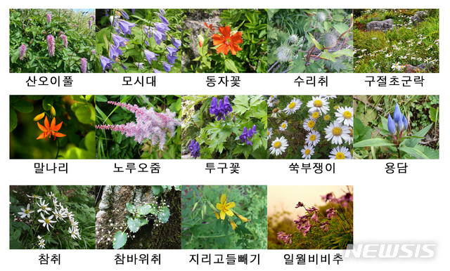 【산청=뉴시스】 지리산 야생화.