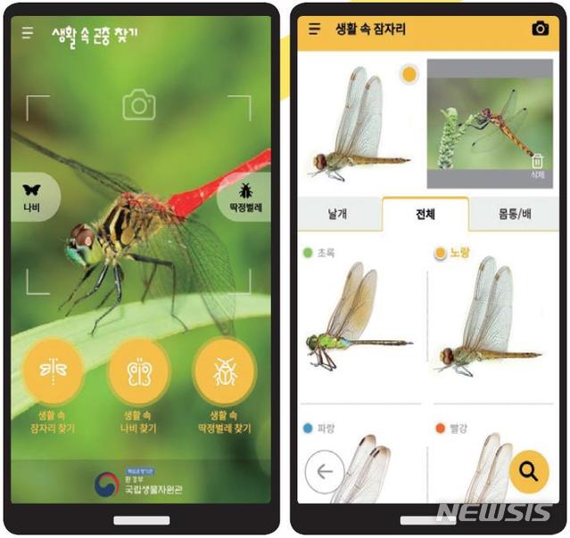 【세종=뉴시스】생활 속 곤충 찾기’모바일 앱 화면 및 QR코드. (사진=국립생물자원관 제공)
