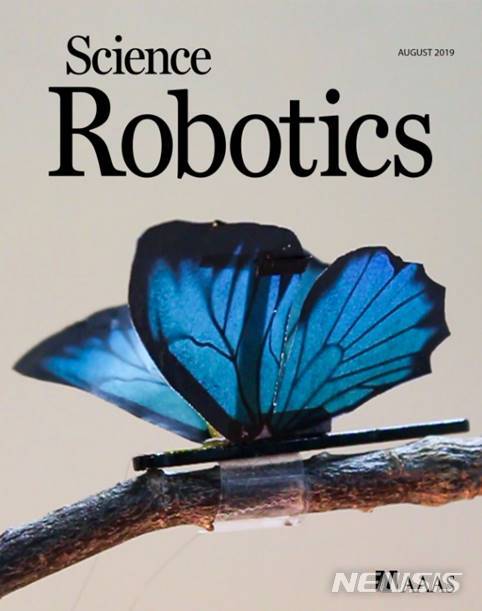 【서울=뉴시스】Science Robotics 2019년 8월호 Cover Image로 선정. 맥신(MXene) 기반 소프트 액츄에이터가 나비 날개에 통합돼 날개짓하는 카이네틱 예술 소품으로 사용됨(그림/KAIST 제공)   photo@newsis.com