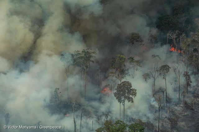 아마존 산불 ⓒ그린피스