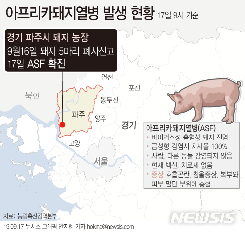 【서울=뉴시스】농림축산식품부는 17일 경기 파주 돼지농장에서 발생한 아프리카돼지열병이 확진됐다고 밝혔다. (그래픽=안지혜 기자) hokma@newsis.com