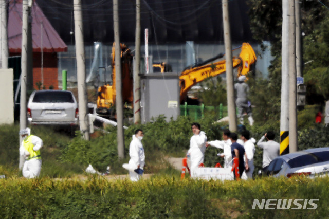 연천군 돼지사체 침출수 대량 유출…당국 "긴급 상황 점검"