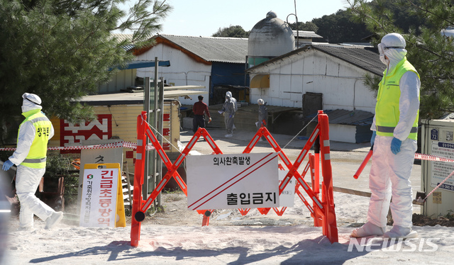 【김포=뉴시스】 전진환 기자 = 23일 오전 아프리카 돼지열병(ASF) 의심 신고가 접수된 경기도 김포시 한 돼지농장에서 방역관계자들이 농장주와 상황조사를 하고 있다. 2019.09.23.  amin2@newsis.com