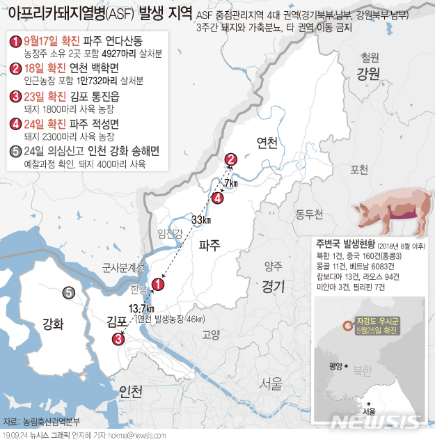 【그래픽=뉴시스】아프리카돼지열병(ASF) 현황(확진 총 4건).  hokma@newsis.com 