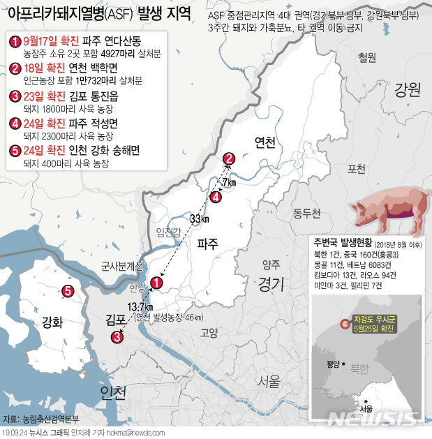 【서울=뉴시스】농림축산식품부는 24일 인천 강화군 송해면 소재 돼지 농장에 대한 아프리카돼지열병(ASF) 정밀 검사를 진행한 결과 확진 판정이 났다고 밝혔다. (그래픽=안지혜 기자)  hokma@newsis.com 