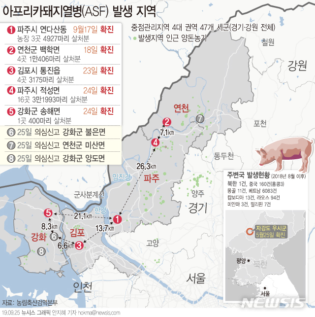 【서울=뉴시스】농림축산식품부에 따르면 25일 인천시 강화군 2곳과 연천군 1곳 양돈농가에서 아프리카돼지열병(ASF) 의심축 신고가 접수됐다. 24일 오후 11시 기준 살처분 대상 돼지는 28개 농장 5만901마리로 2만172마리에 대한 살처분이 완료된 상태다. (그래픽=안지혜 기자)  hokma@newsis.com  