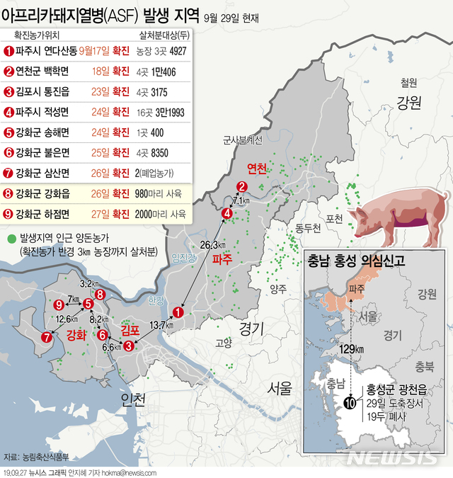 【서울=뉴시스】농림축산식품부에 따르면 29일 충남 홍성군 광천읍에서 아프리카돼지열병(ASF) 의심신고 1건이 발생했다. (그래픽=안지혜 기자)  hokma@newsis.com 