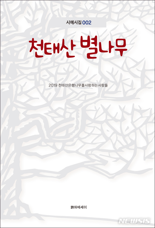 【영동=뉴시스】‘천태산 은행나무를 사랑하는 사람들’(대표 양문규 시인)이 열한 번째로 펴낸 천태산 은행나무 시 모음집 ‘천태산 별나무(시와에세이·415쪽)’ 표지.(사진=영동군 제공) photo@newsis.com