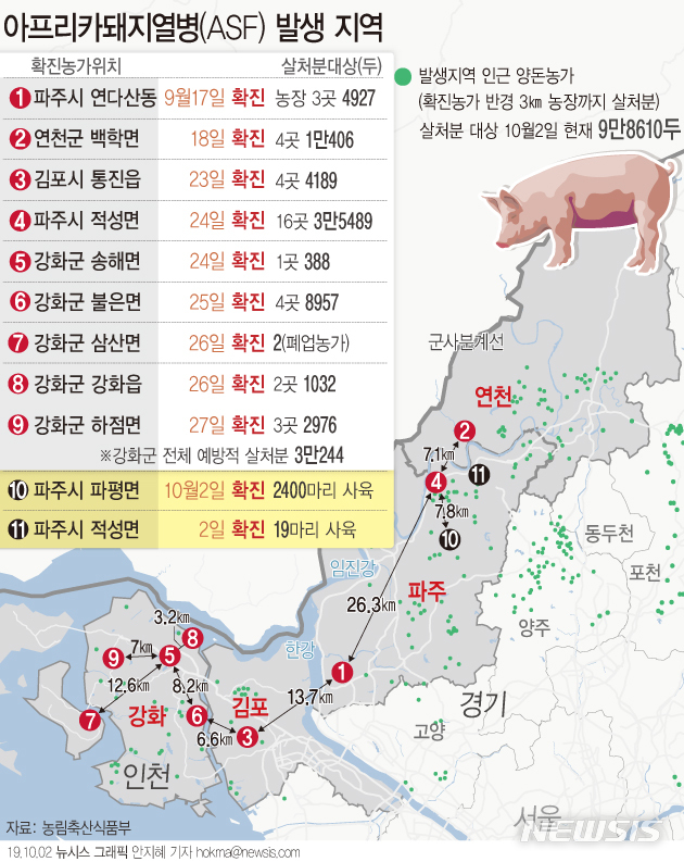 【서울=뉴시스】2일 경기도 파주시에서만 2건의 아프리카돼지열병(ASF) 확진 사례가 나왔다. (그래픽=안지혜 기자) hokma@newsis.com