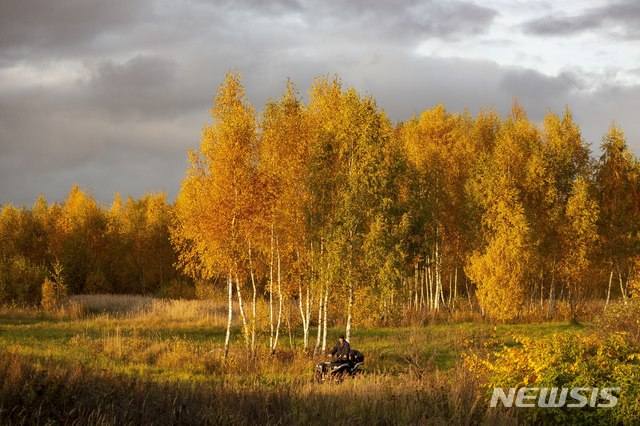 [모스크바=AP/뉴시스] 2019년 10월 5일 러시아 모스크바 북쪽 한 농촌에서 농부가 가을걷이를 하고 있다. 
