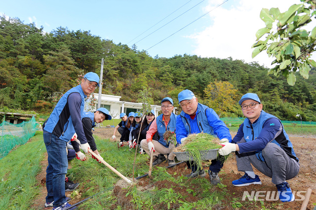 【서울=뉴시스】김가윤 기자 = 신동아건설 이종훈 부회장(오른쪽 두 번째)과 우수영 개발사업1본부장(왼쪽 첫 번째)이 직원들과 함께 채취한 산파를 들어 보이고 있다. 2019.10.14 (제공=신동아건설) yoon@newsis.com