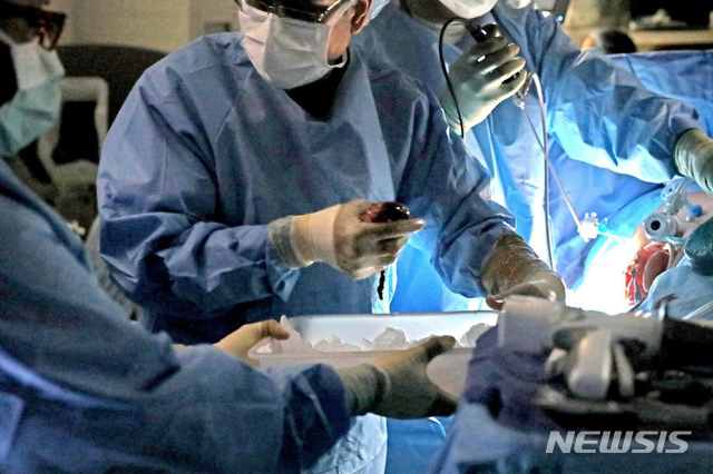 [세인트루이스=AP/뉴시스]지난해 1월17일(현지시간) 미국 미주리주 세인트루이스에서 외과의사가 기증자의 신장을 들고 있는 모습. 2019.11.27.