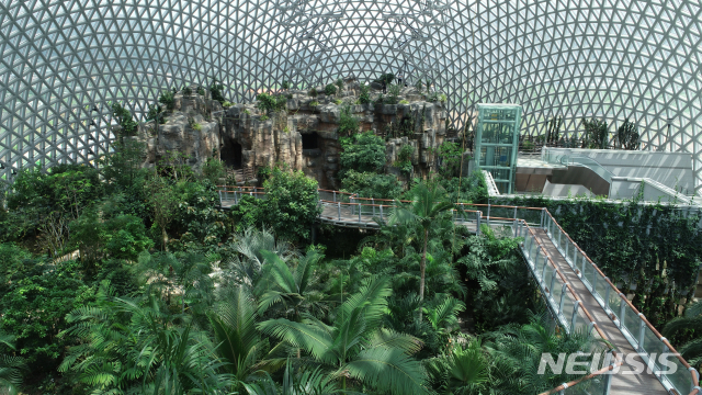 300여 종, 7000여 주의 열대식물과 10m 높이 인공폭포, 스카이워크 등을 갖춘 정글돔 내부 모습. (사진=거제시 제공)
