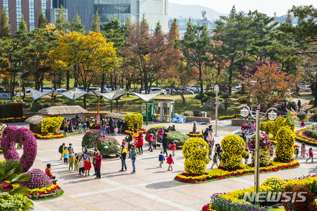 [울산소식]북구, 국화전시회 마련 등 