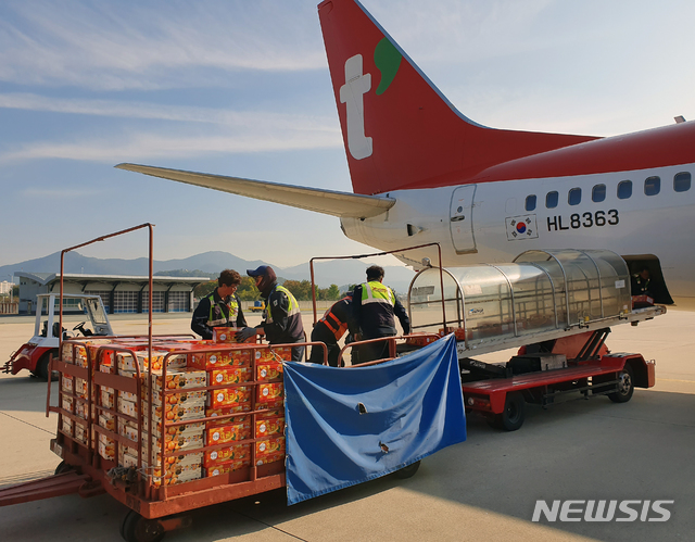 티웨이항공 TW802편으로 제주에서 대구공항으로 28일 오전 9시30분께 처음 도착한 화물에는 밀감이나 야채 등 3t의 화물이 수송됐다.