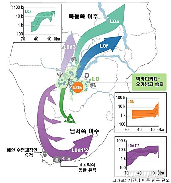 【대전=뉴시스】 김양수 기자 = L0 그룹의 하위 계통과 이주 지도. L0 미토게놈(미토콘드리아 DNA) 그룹은 인류의 가장 오래된 뿌리의 직계 혈통으로 연구진은 L0 하위 계통의 분화 연대표를 기후연구와 결합해 이주시기와 경로를 밝혔다.2019.10.29(사진=IBS 제공) photo@newsis.com 