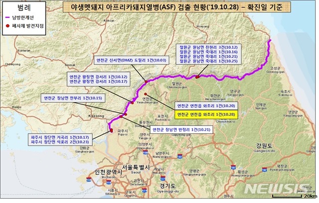 【세종=뉴시스】야생멧돼지 아프리카돼지열병 검출 현황. 2019.10.29. (자료= 국립환경과학원 제공)