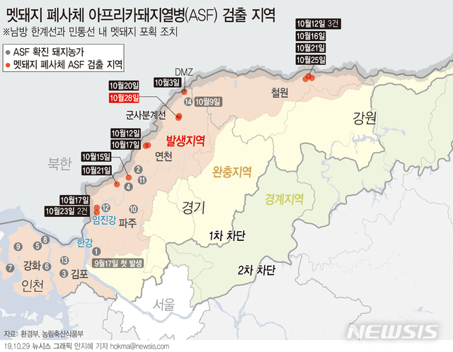 【서울=뉴시스】국립환경과학원은 경기 연천군에서 발견된 야생멧돼지 폐사체에서 아프리카돼지열병(ASF) 바이러스가 검출됐다고 29일 밝혔다. ASF 바이러스가 검출된 멧돼지 개체 수는 16마리로 늘었다. (그래픽=안지혜 기자)  hokma@newsis.com 