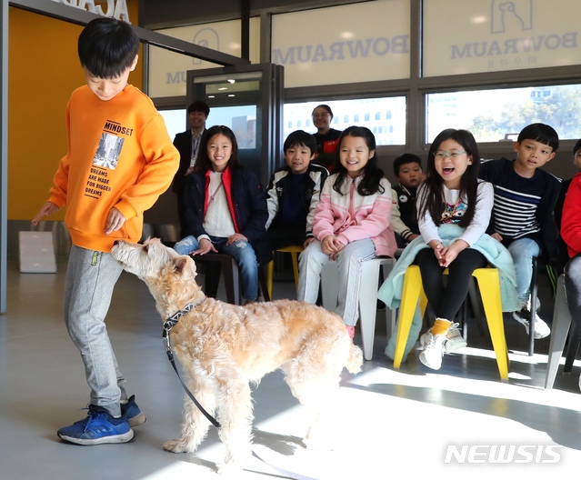 【서울=뉴시스】반려견 체험교육을 하고 있는 서울 성동구 응봉초등학교 학생들. 2019.11.10. (사진=성동구 제공)