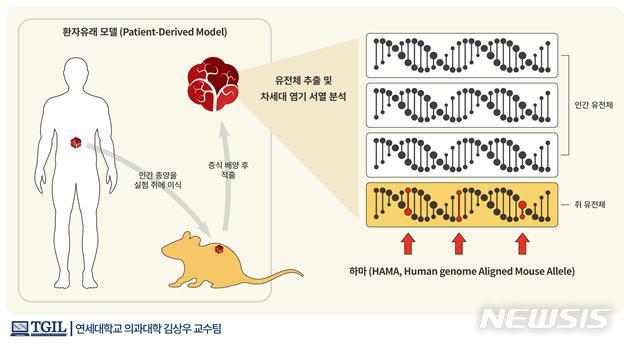 김상우 교수팀, 암세포 분석 정확도 높인 유전자 검사법 개발