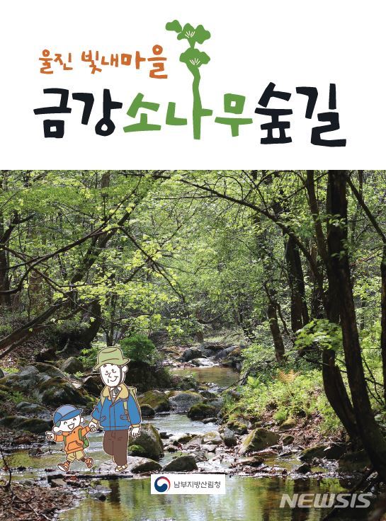 동화책 '금강소나무숲길' (사진=남부산림청 제공)