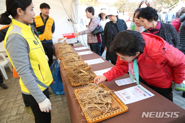  지난해 이천인삼축제에서 인삼을 고르고 있는 주민. (사진제공=이천시)