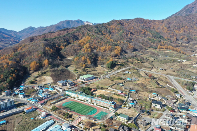 [영주=뉴시스] 영주국유림관리소 전경. 이 사진은 기사와 직접적인 관련 없음.