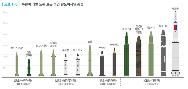 [서울=뉴시스] 박대로 기자 = 북한이 개발 또는 보유 중인 탄도미사일 종류. 2019.12.09. (그림=국방백서 제공) 