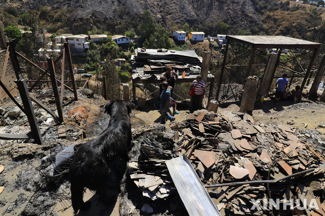 [발파라이소= 신화/뉴시스] 지난 해 12월 26일 방화로 추정되는 화재로 불탄 발파리오소 해안지대 야산. 여름철을 맞은 칠레에서는 새해에도 중부 일대에서 심한 산불이 번져 야생동물 서식처인 삼림이 광범위하게 초토화되었다.  