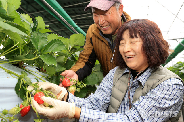 [산청=뉴시스] 산청군 여성농업인 지역특화사업 지원.