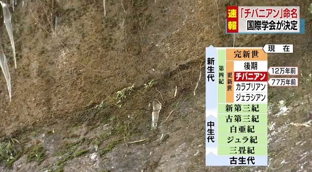 [서울=뉴시스]일본 지바(千葉)현에 이치하라(市原)시에서 발견된 77만 년 전의 지층이 ‘지바니안(지바 시대)’으로 국제 표준지에 등록됐다. 사진은 NHK 갈무리. 2020.01.17.
