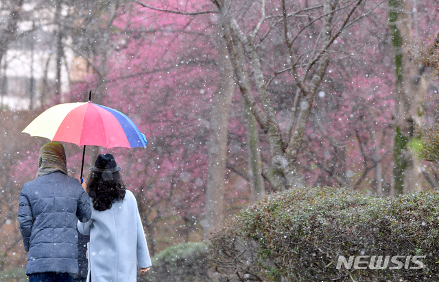 [광주=뉴시스] 류형근 기자 = 광주와 전남지역에 눈이 내리고 있는 가운데 16일 오후 광주 북구 중외공원에서 시민들이 우산을 쓰고 걷고있다. 2020.02.16. hgryu77@newsis.com