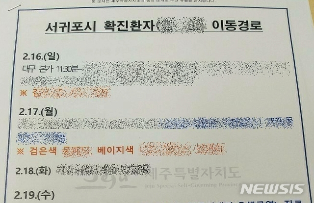 [제주=뉴시스] 인터넷에 유포된 제주 지역 두 번째 코로나19 양성반응자 동선 문서 모습. 