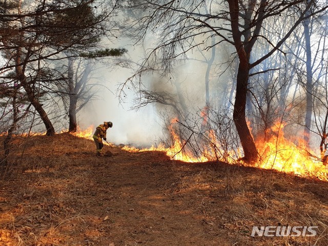 [울산=뉴시스] 박수지 기자 = 23일 오후 1시 9분께 울산시 울주군 두서면 전읍리 한 야산에서 화재가 발생해 소방당국이 진화작업을 벌이고 있다. 2020.03.23.(사진=울산소방본부 제공) photo@newsis.com